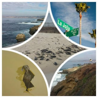 Fun_southern_coast_La_Jolla.jpg